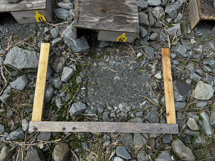 Hypersaline solution control plot (No Saline)